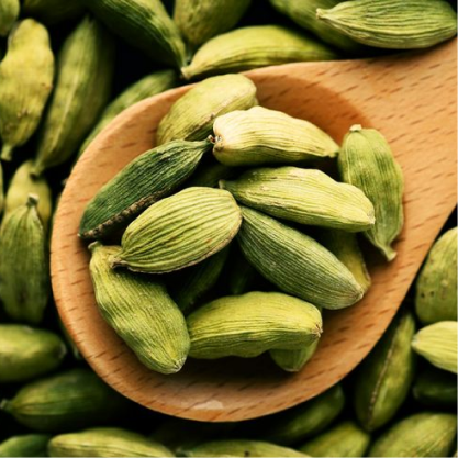Ayurvedic Healing Properties of Cardamom_ The Queen of Spices for Mind, Body & Spirit