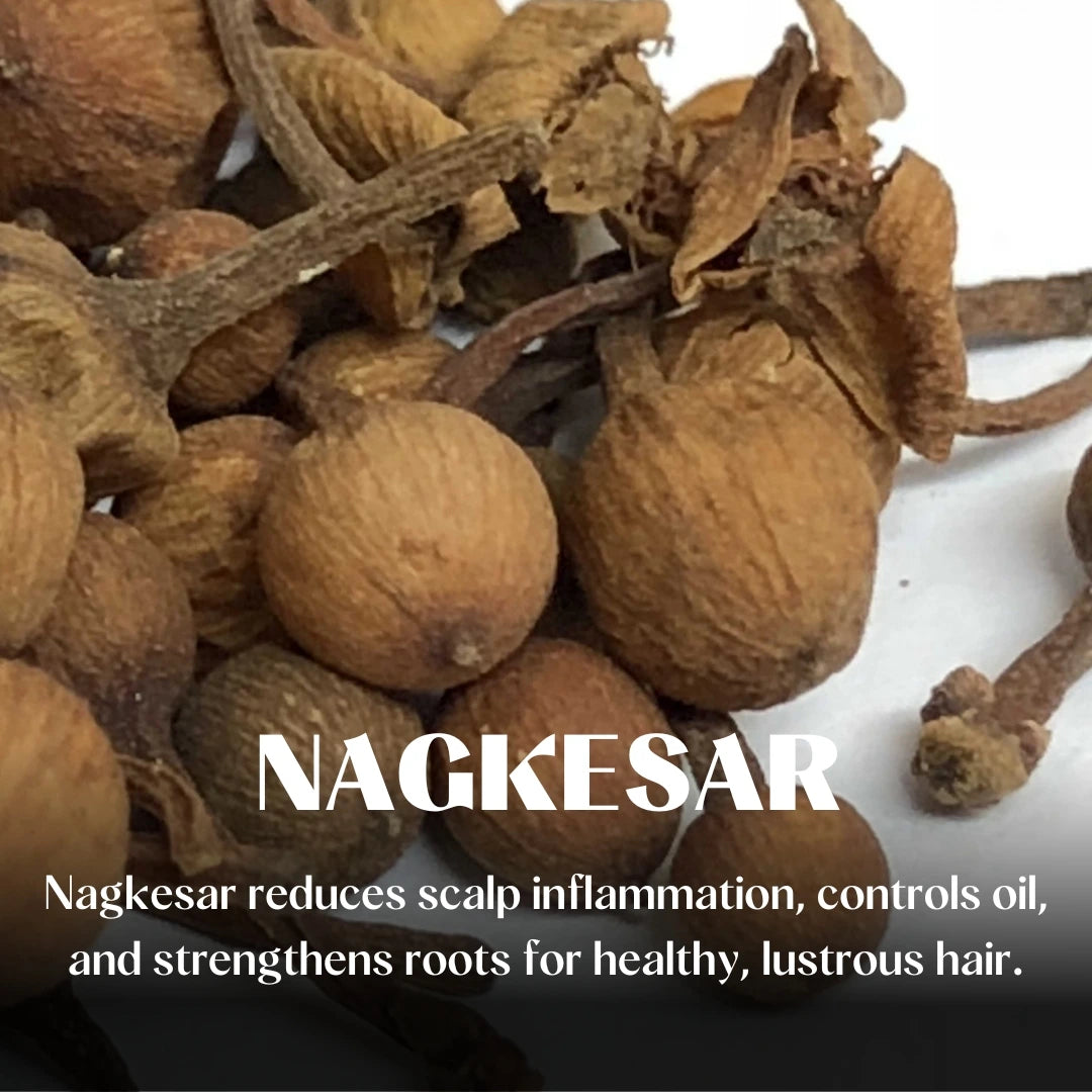 Key Ingredient 15