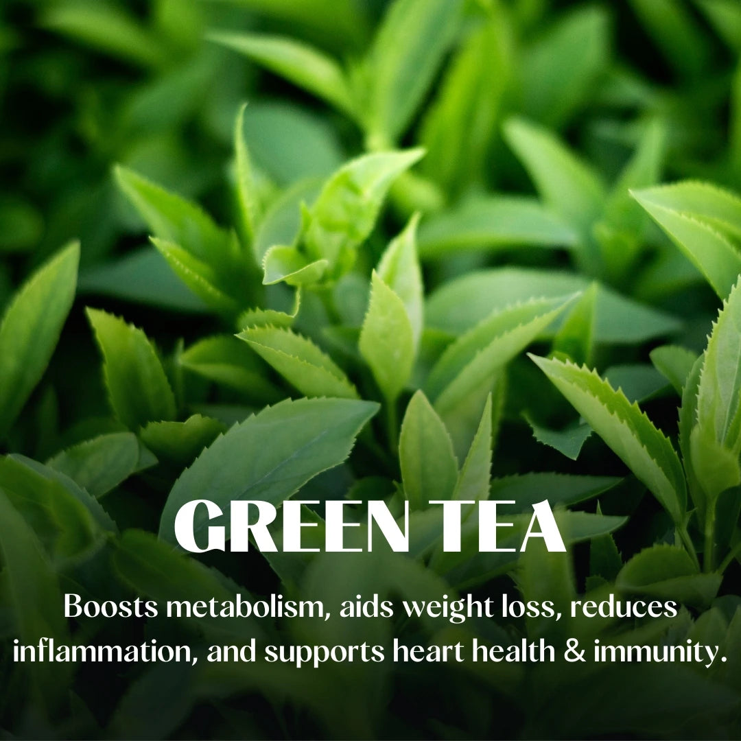 Key Ingredient 4