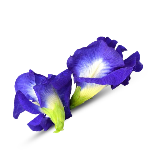 Aparajita Flower