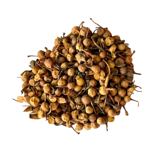 Nagkesar